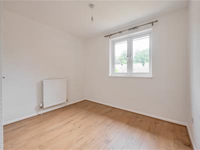 Picture 24